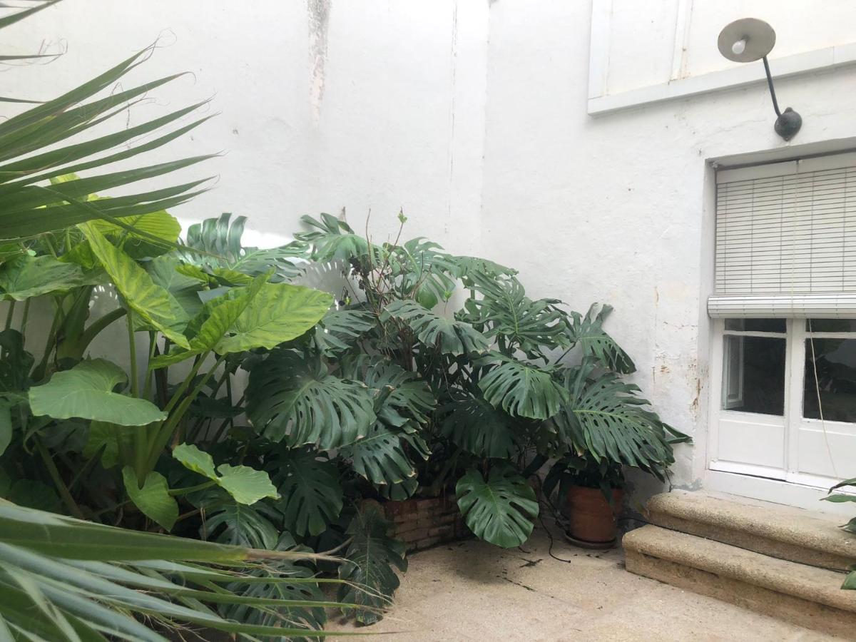 Apartamentos Tukasa Vintage Caces Dış mekan fotoğraf